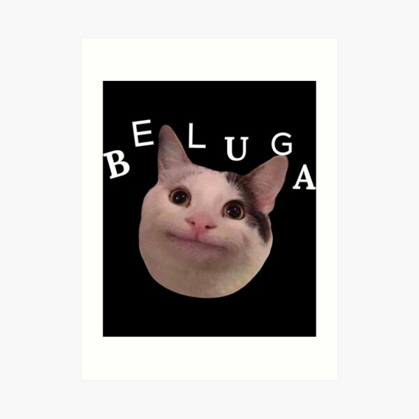 Polite Cat Meme Featuring Cute Beluga Cat A Funny Cat Meme Depicting A Cute  Cat Smiling, Funny Cat Pun And A Happy Cat | iPad Case & Skin