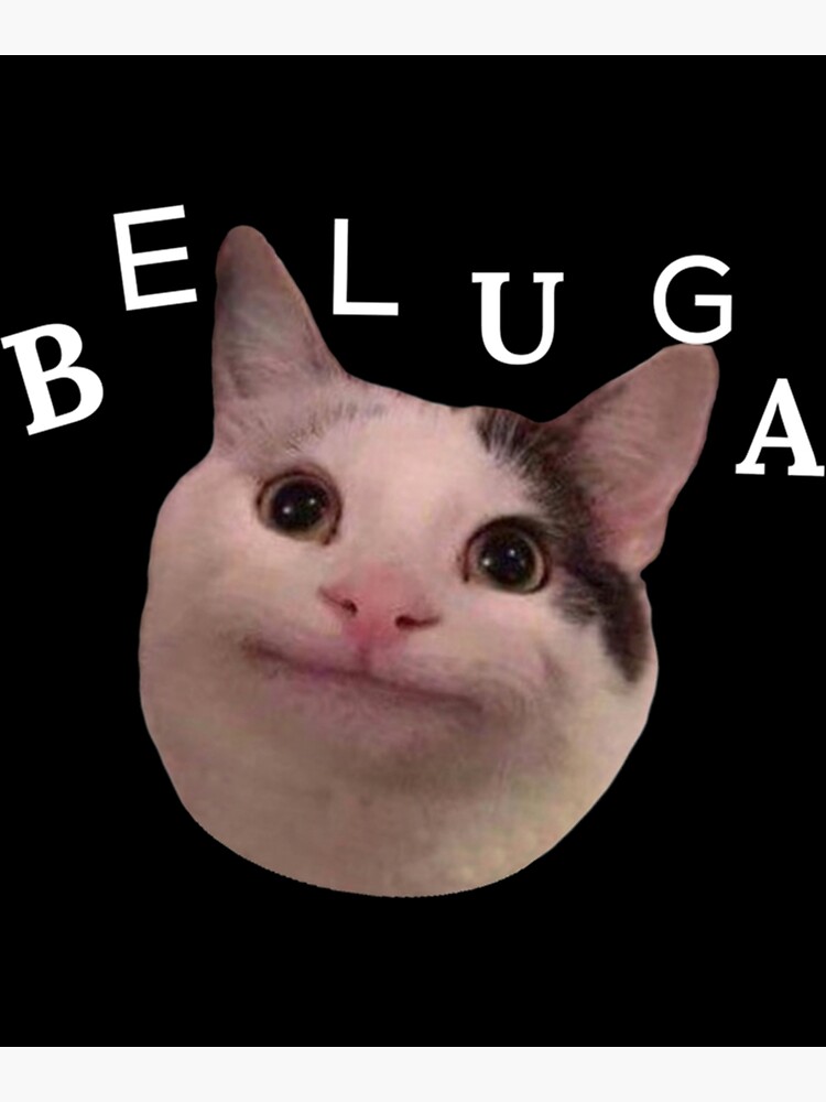 Smiling Cat Beluga - Cat Beluga | Poster