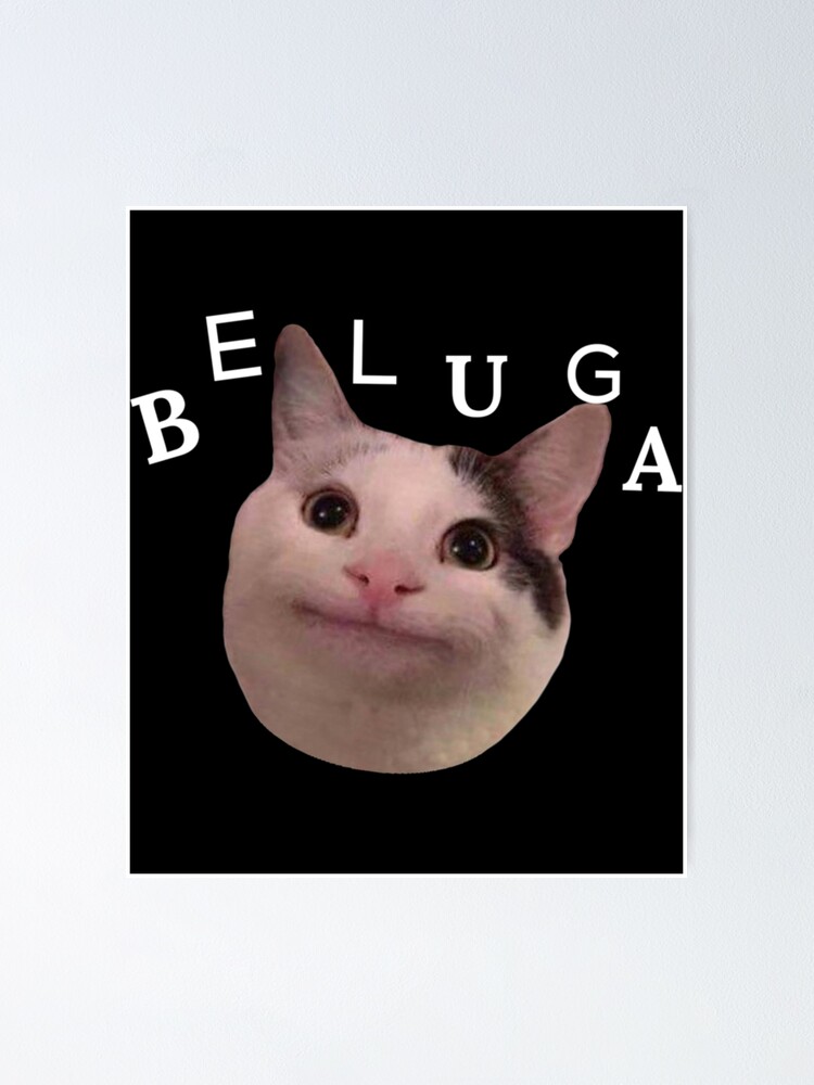 "Beluga cat discord " Poster for Sale by IzabeAlvin Redbubble