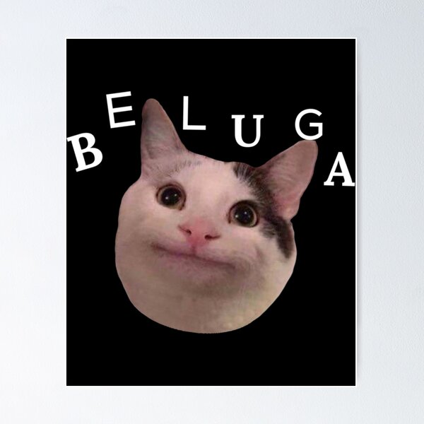 Beluga Discord - Beluga Cat - Pixel Pink Glasses Poster for Sale by  DiensDesign