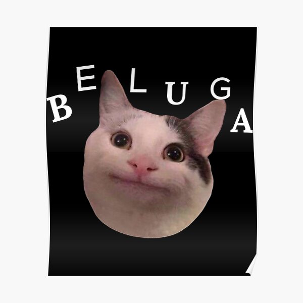 "Beluga cat discord " Poster for Sale by IzabeAlvin Redbubble