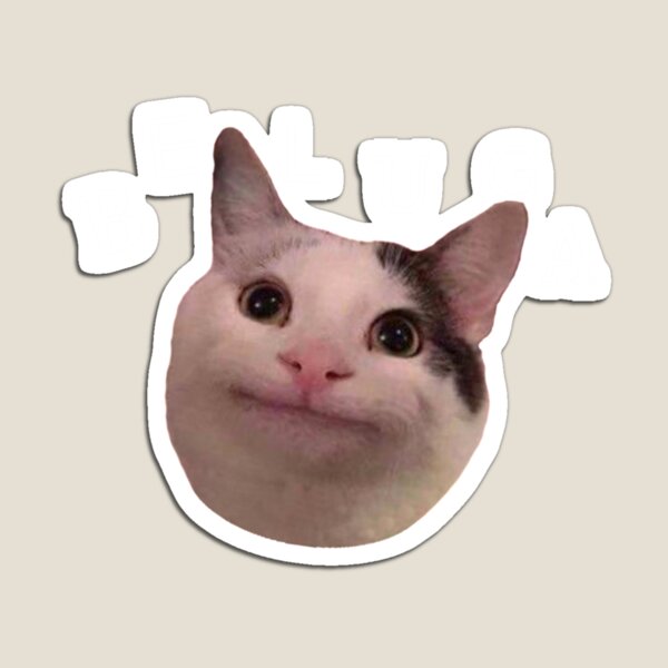 beluga cat discord pfp | Magnet