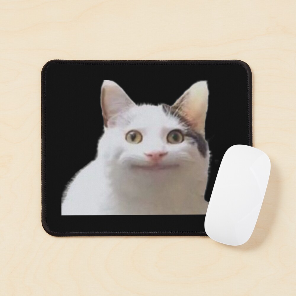 beluga cat discord pfp | Art Board Print