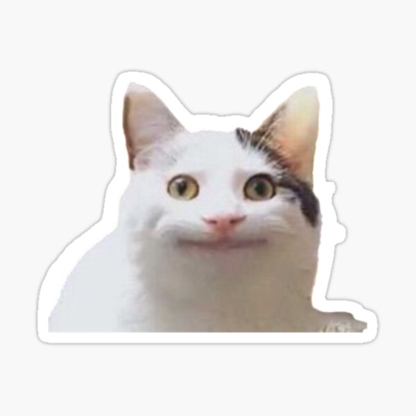 Beluga The Cat Hakosh1307 Sticker - Beluga The Cat Hakosh1307 Hakosh -  Discover & Share GIFs