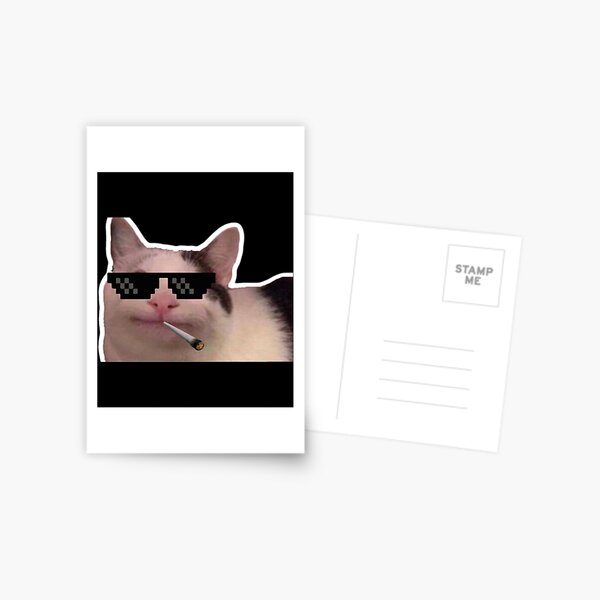 Download Cat Logo Funny Discord PFP Wallpaper