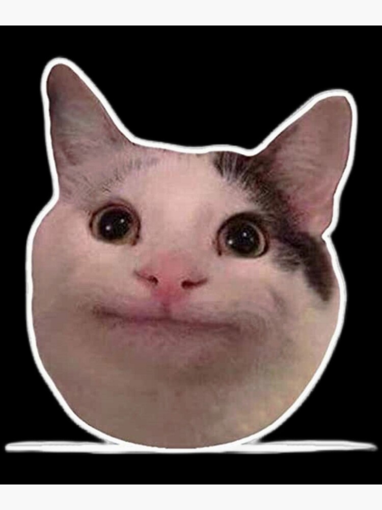 Buy Funny Meme Beluga Cat Discord Shirt For Free Shipping CUSTOM XMAS  PRODUCT COMPANY