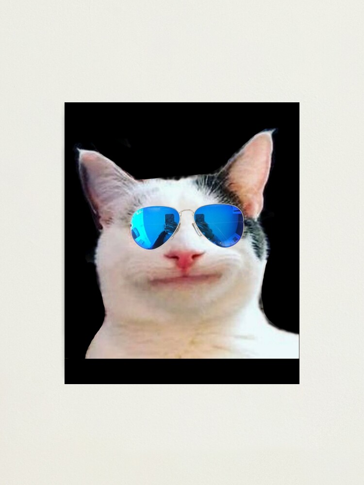 Smiling Beluga Cat Meme Face Photographic Print for Sale by