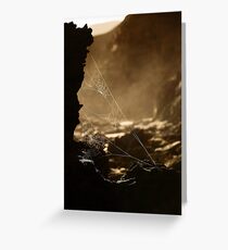 Webs v1 Greeting Card