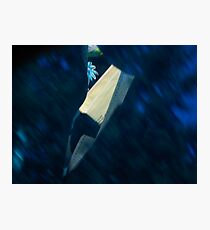 Abstract Photographic Print