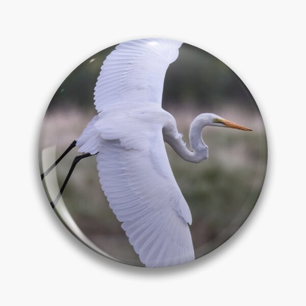 Item preview, Great egret on the wing.  designed and sold by DaveBassett.
