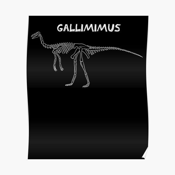 gallimimus fossil