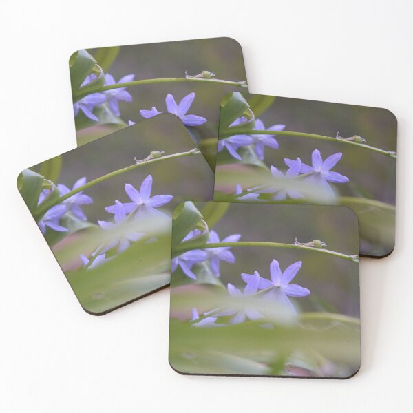 Item preview, Scilla lingulata 2 designed and sold by Furiarossa.