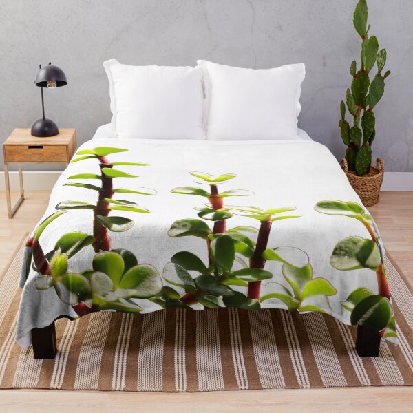 Item preview, Jade plant/Feng Shui/Lucky plant designed and sold by VeenaNair23.