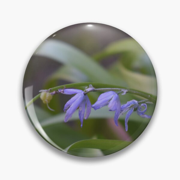 Item preview, Scilla lingulata 3 designed and sold by Furiarossa.