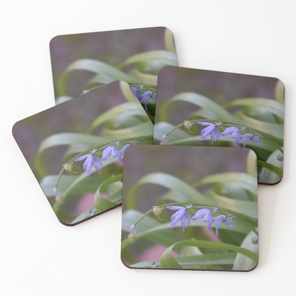 Item preview, Scilla lingulata 3 designed and sold by Furiarossa.
