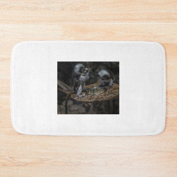 Item preview, squirrels designed and sold by Dejan Zerdo.