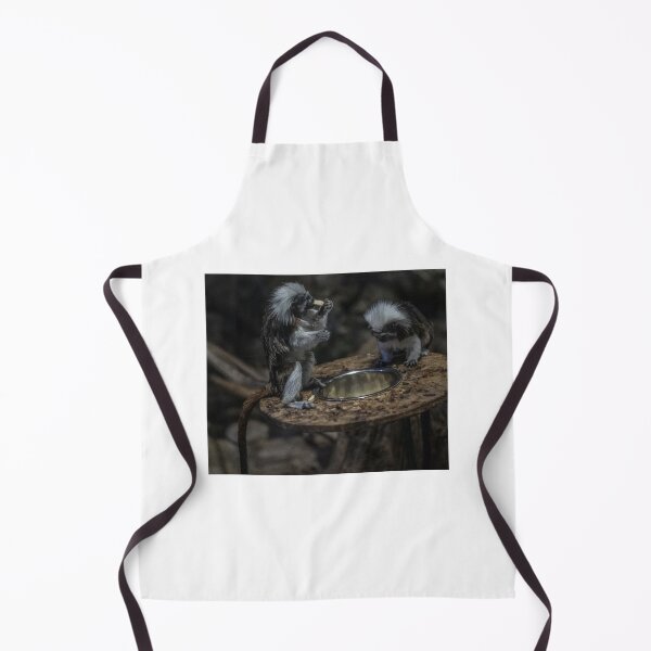 Item preview, squirrels designed and sold by Dejan Zerdo.