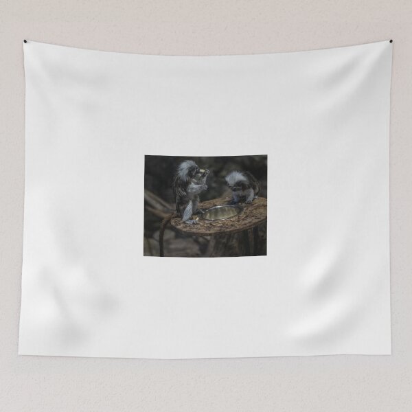Item preview, squirrels designed and sold by Dejan Zerdo.