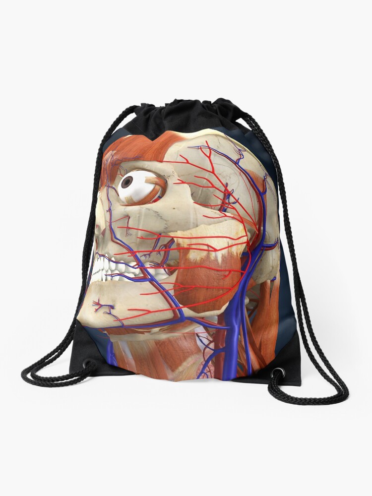 Medical illustration detailing thoracic outlet syndrome. Drawstring Bag  for Sale by StocktrekImages