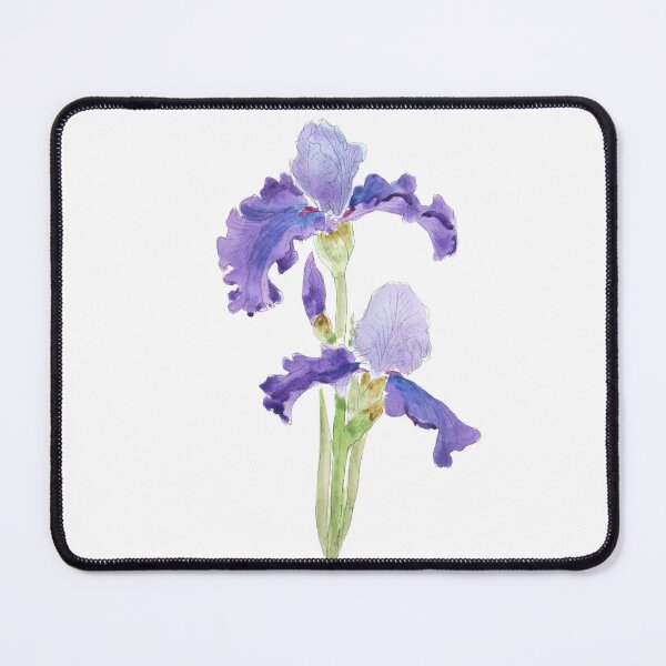 Item preview, hand painted two purple irises  ink and watercolor  designed and sold by ColorandColor.