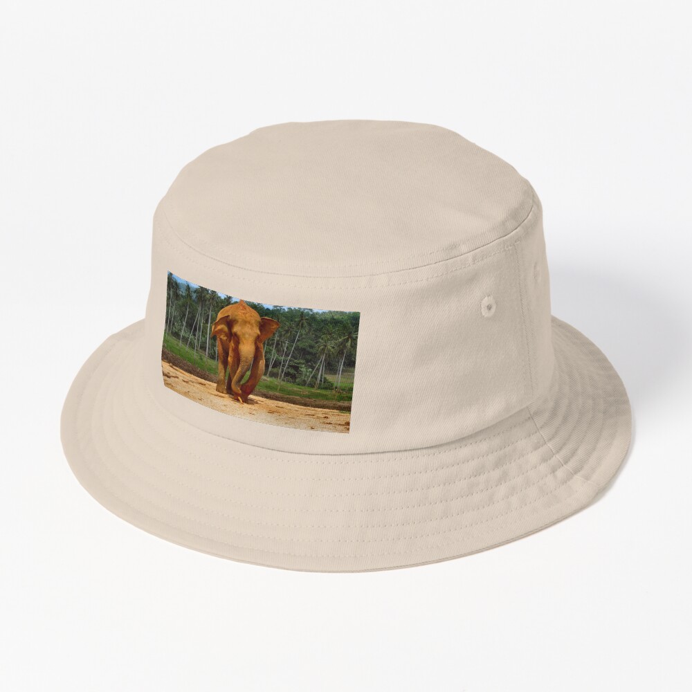 Item preview, Bucket Hat designed and sold by ronsaunders47.