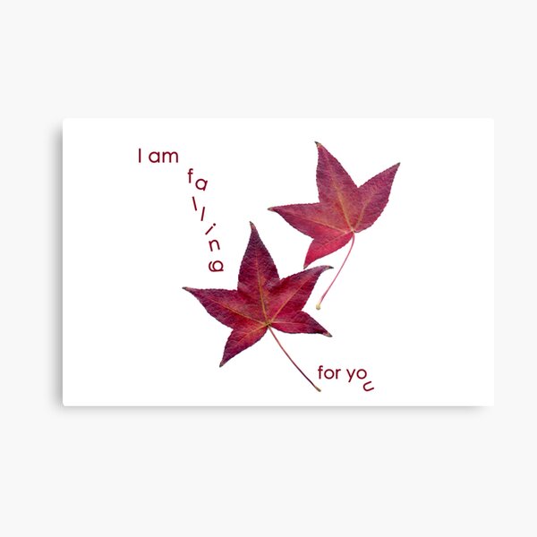 Falling for you Metal Print