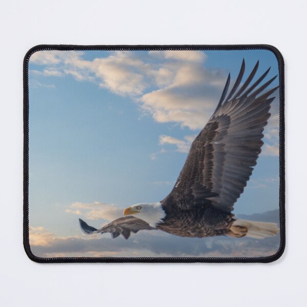 Item preview, Eagle in flight designed and sold by Greg Birkett.