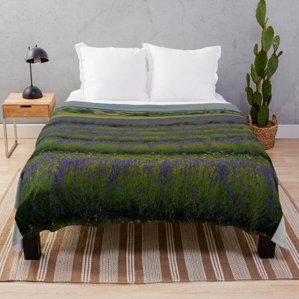 Item preview, Lavender Field Summer Flowers Cotswolds England designed and sold by AndyEvansPhotos.
