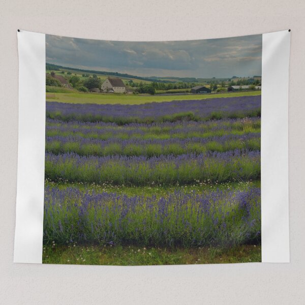Item preview, Lavender Field Summer Flowers Cotswolds England designed and sold by AndyEvansPhotos.