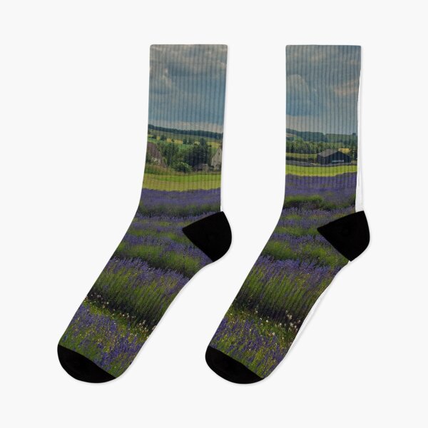 Item preview, Lavender Field Summer Flowers Cotswolds England designed and sold by AndyEvansPhotos.