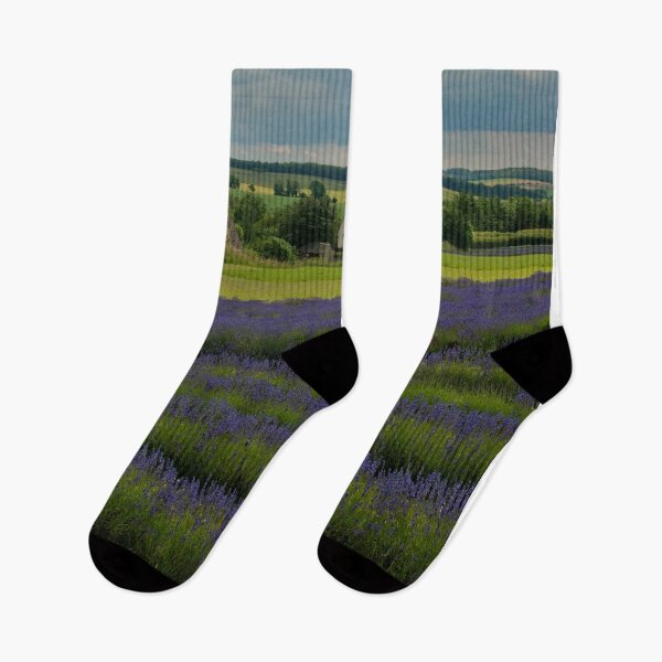 Item preview, Lavender Field Summer Flowers Cotswolds England designed and sold by AndyEvansPhotos.
