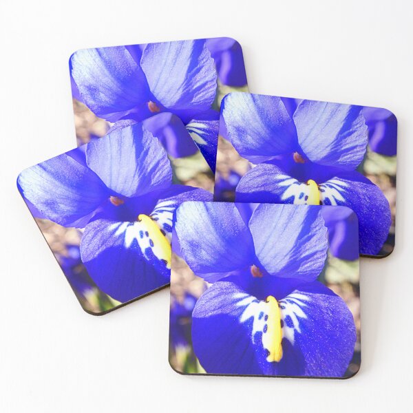 Item preview, Blue Iris designed and sold by angel1.