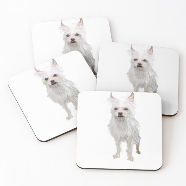 Aperçu de l'œuvre Bobo le chien Gremlin créée et vendue par itsdariana.