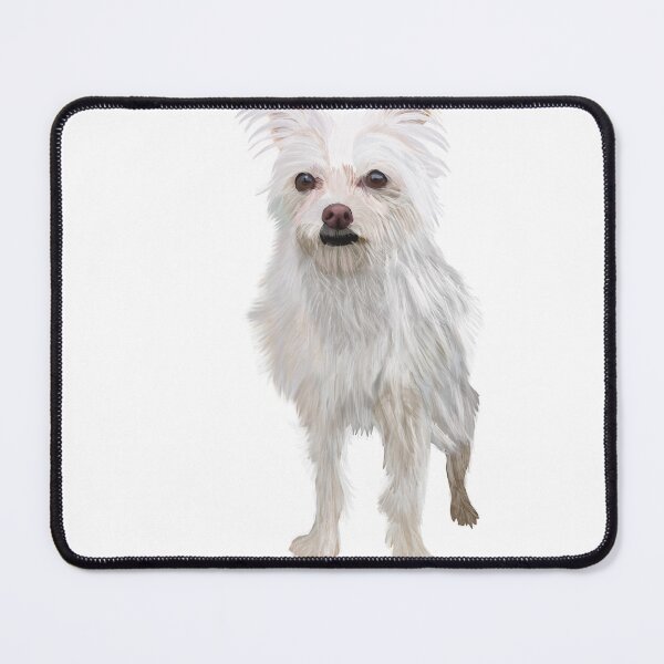 Item preview, Bobo the Gremlin Dog designed and sold by itsdariana.