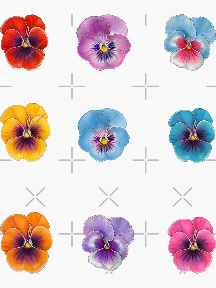 "Pansy sticker pack" Sticker by MerWishes Redbubble