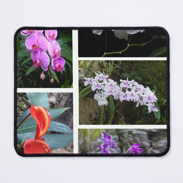 Item preview, Orchids designed and sold by Paul Pasco.