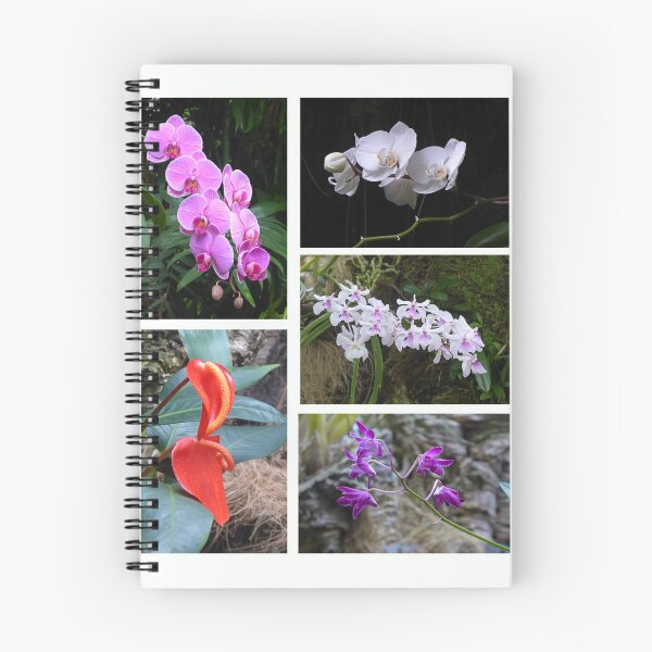 Item preview, Orchids designed and sold by Paul Pasco.