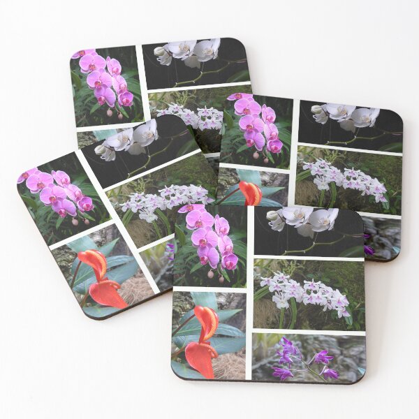 Item preview, Orchids designed and sold by Paul Pasco.