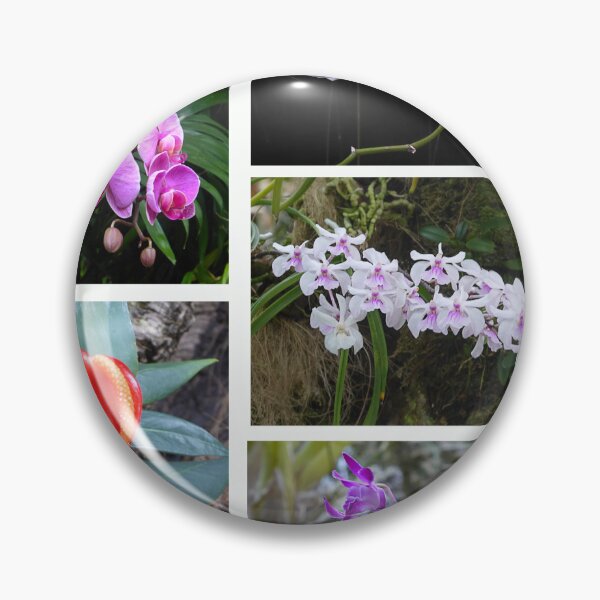 Item preview, Orchids designed and sold by Paul Pasco.