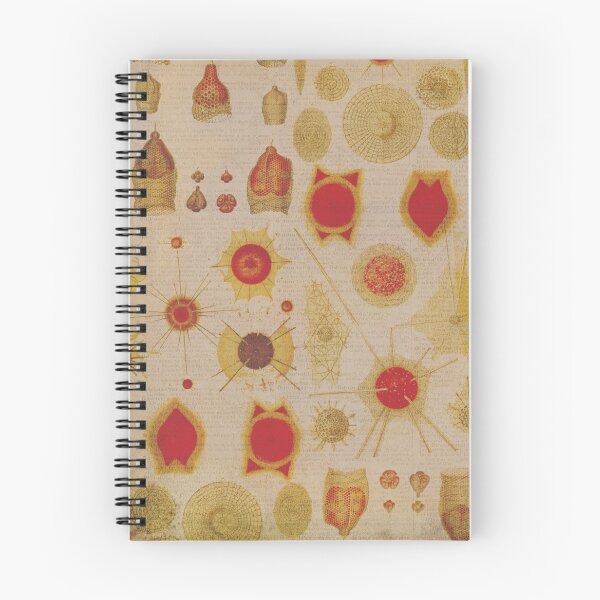Item preview, Vintage geometric nature forms designed and sold by madhatdesigns.