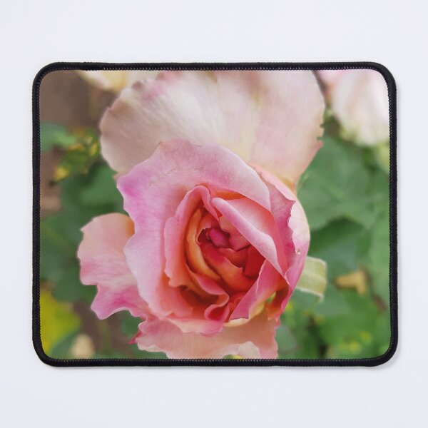 Item preview, Sweet Pink Rose in the Garden designed and sold by northernflicker.