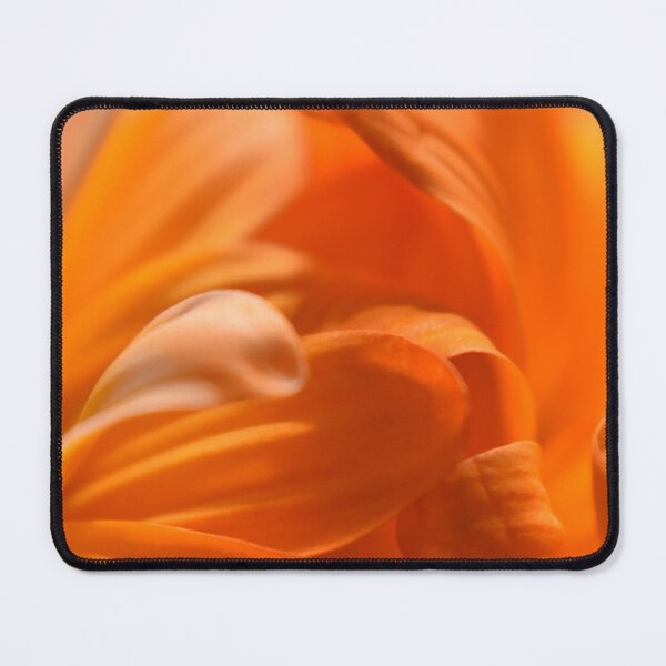 Item preview, The softness of orange designed and sold by Tonia Delozier's Photography .