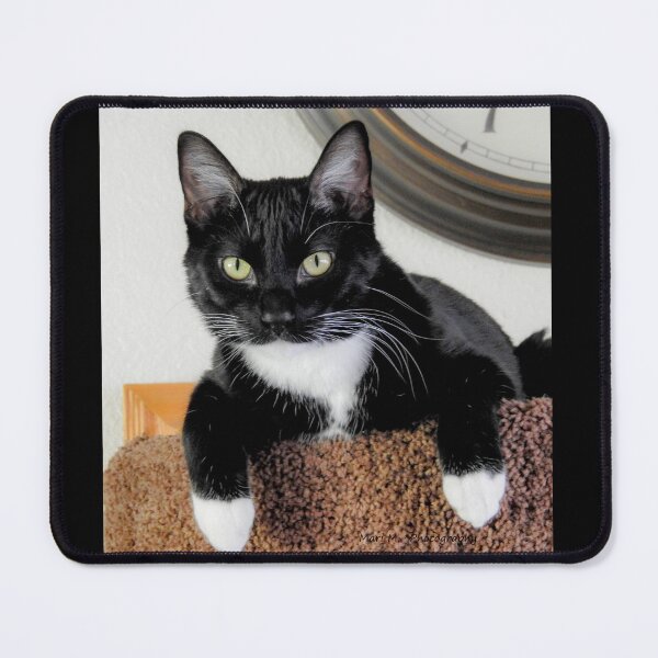 Item preview, Something to say designed and sold by MoreGoodArt.