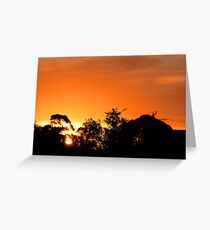 sunsetfromtree Greeting Card