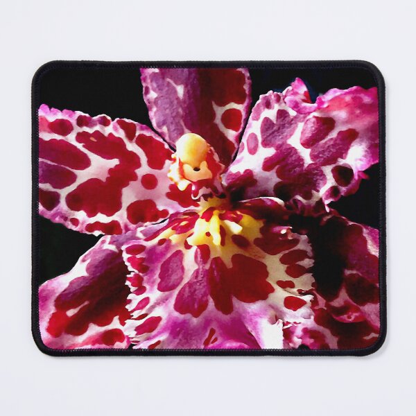 Item preview, Wilsonara Orchid 'Eye Candy' designed and sold by Susan Maxwell Schmidt.