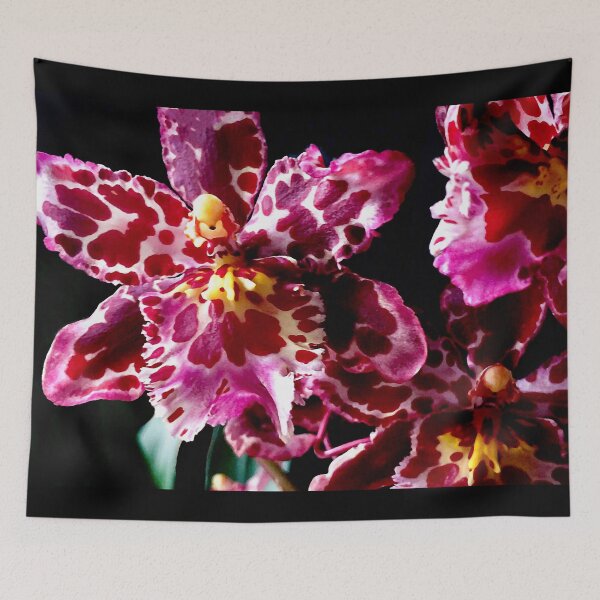 Item preview, Wilsonara Orchid 'Eye Candy' designed and sold by Susan Maxwell Schmidt.