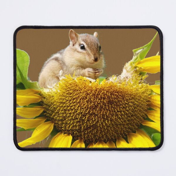 Item preview, Introverted but Willing to Discuss Hamster, Rodent on Sunflower designed and sold by DiensDesign.