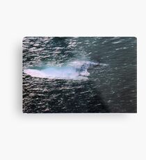 Translucent Metal Print