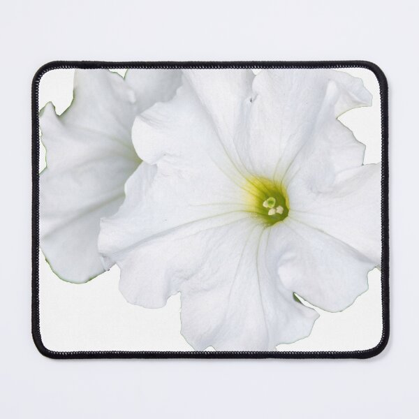 Item preview, White bloom designed and sold by MoreGoodArt.
