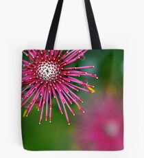 blw-r-a1 Tote Bag